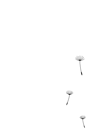 quote von martin novak